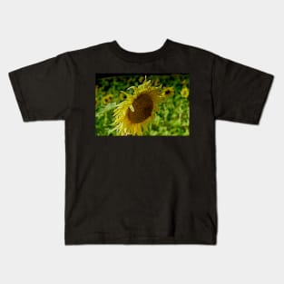 Bee approaching a sunflower Kids T-Shirt